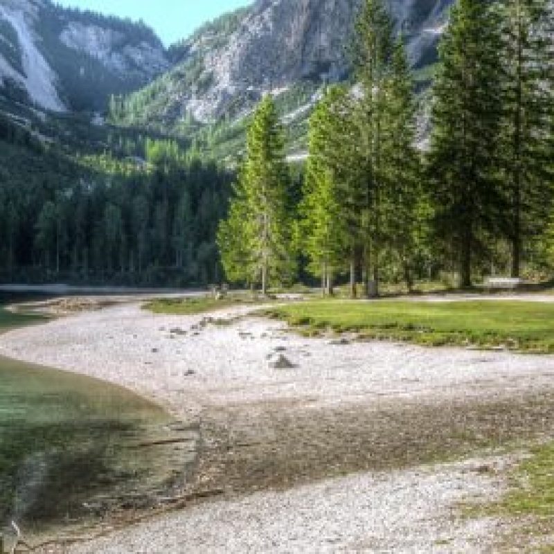 about bg 1024x283.jpg