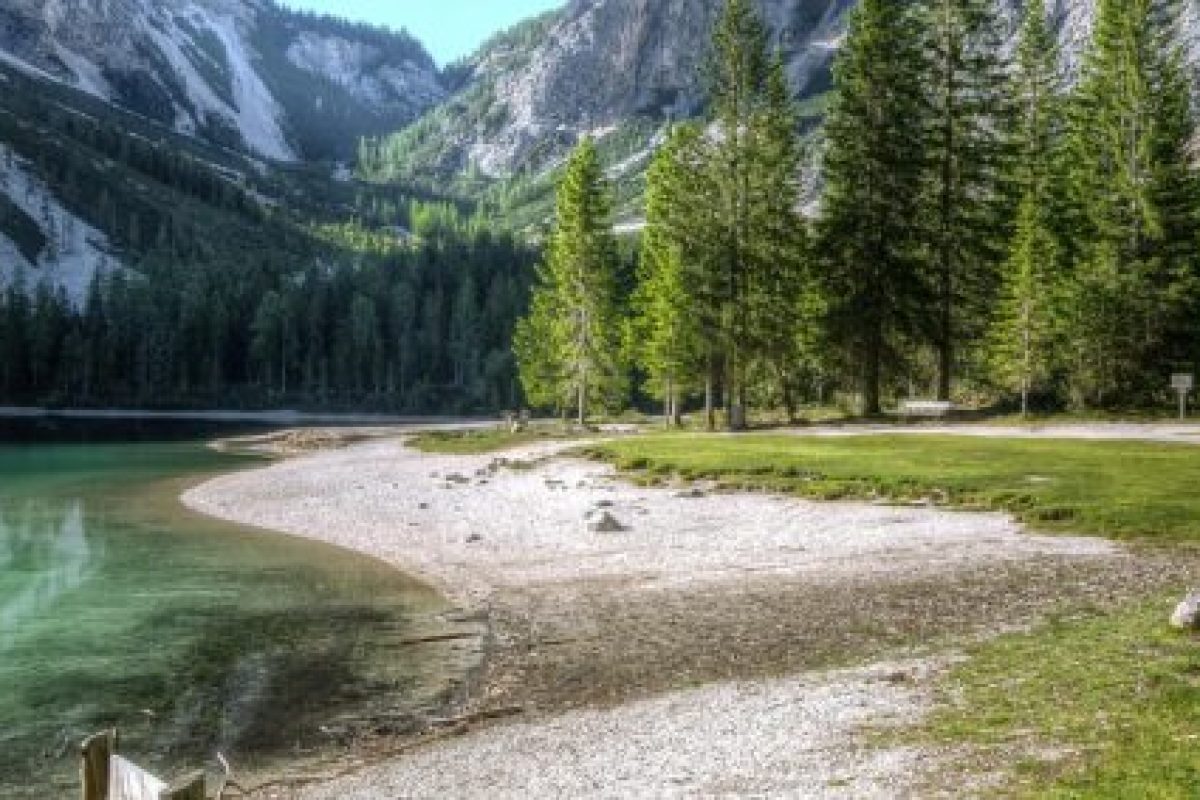 about bg 1024x283.jpg